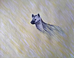  Hyena  