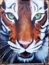  Tygr na plátně 