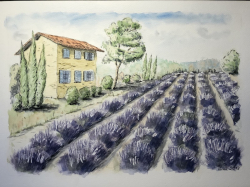 Provence - 1319 