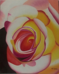 Růže 60x90 - 636 