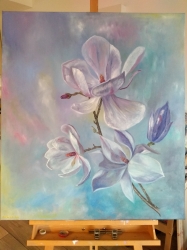 Květy magnolie - 1403 