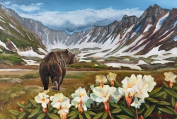 Medvěd v rododendronech - 1467 