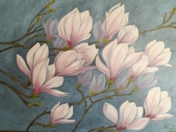 Krásné magnolie - 1196 