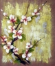 Květy broskvoní - 636 