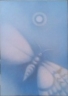 Motýl - 922 