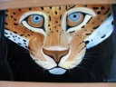  zvědavý jaguar 