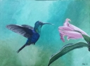 Hummingbird - 1231 