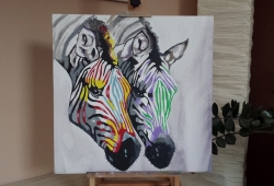 Zebras - 1231 