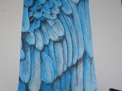 blue feathers - 1248 